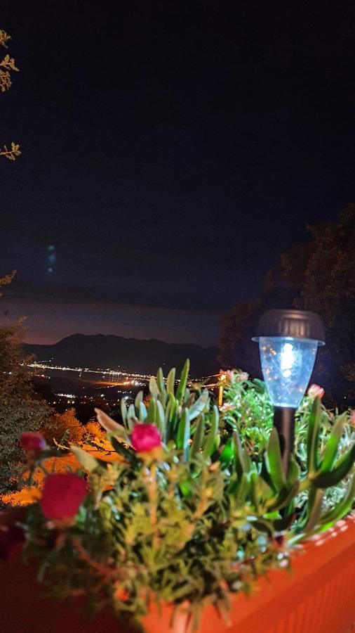 Apartment Jelena Sutvara โกตอร์ ภายนอก รูปภาพ
